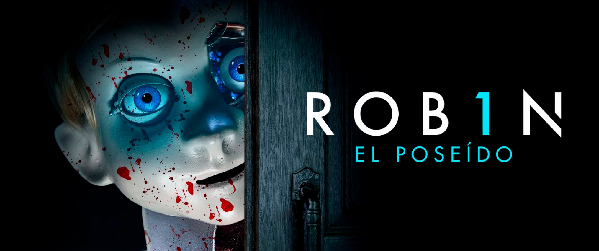 ROB1N 